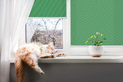 Fensterrollo innen grün