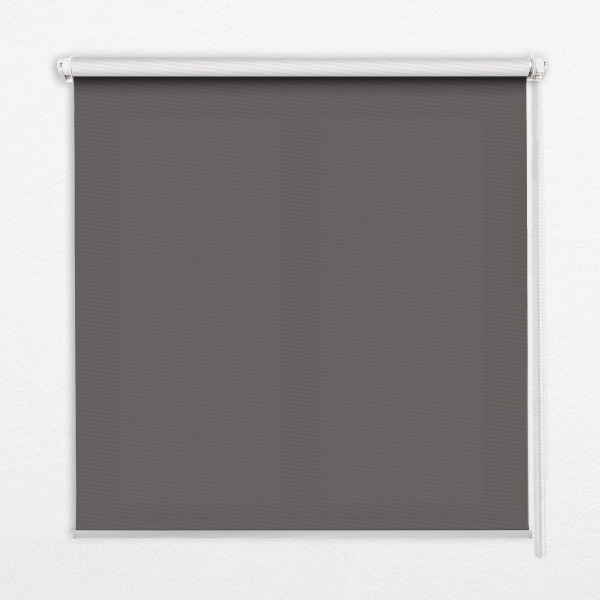 Rollo Fenster in Grau