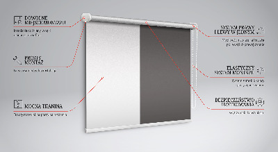 Rollo Fenster in Grau