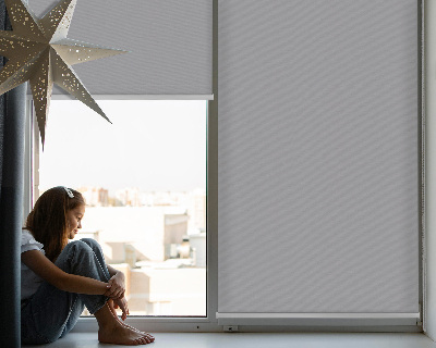 Fensterrollo in Grau