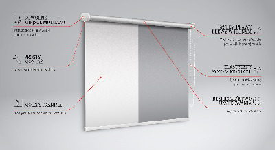 Fensterrollo in Grau