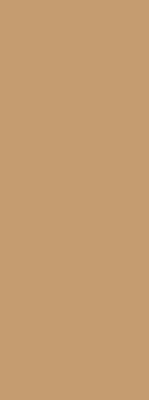 Rollo Fenster beige