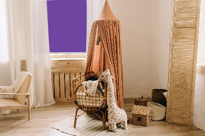 Rollo Fenster lila