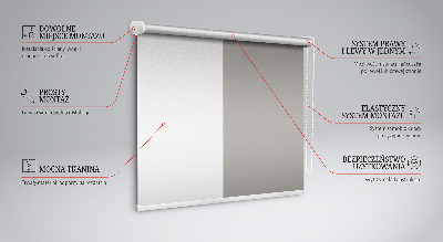 Fensterrollo in Grau