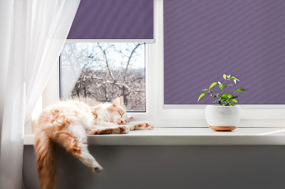 Rollo Fenster lila