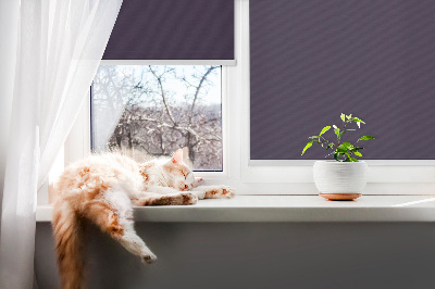Fensterrollo schwarz