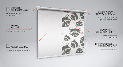 Fensterrollo mit gezeichneten Waschbären