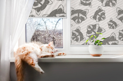 Fensterrollo mit gezeichneten Waschbären