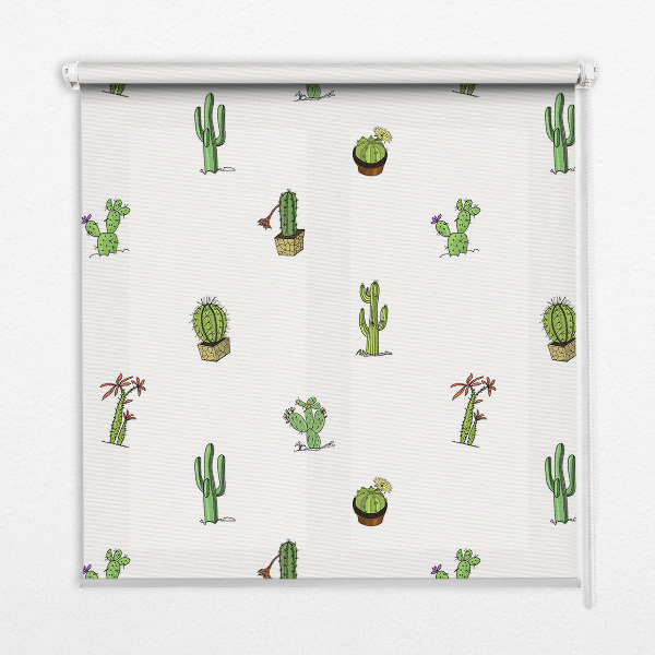 Fensterrollo innen kakteen