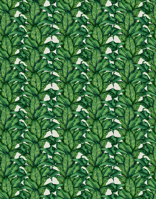 Rollo Fenster in grüner Blattoptik