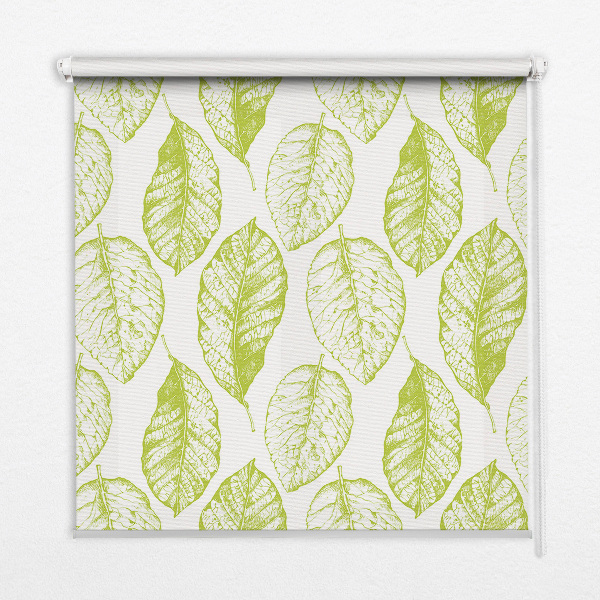 Fensterrollo innen in der Farbe Limettenblätter
