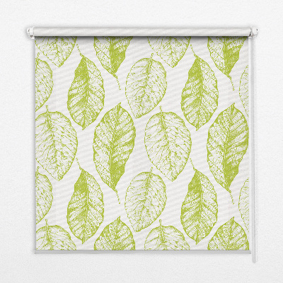 Fensterrollo innen in der Farbe Limettenblätter