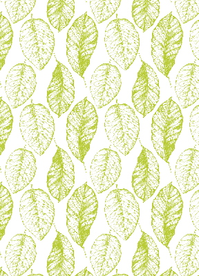 Fensterrollo innen in der Farbe Limettenblätter