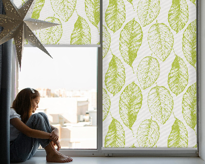 Fensterrollo innen in der Farbe Limettenblätter