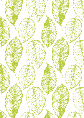 Fensterrollo innen in der Farbe Limettenblätter