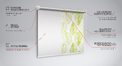 Fensterrollo innen in der Farbe Limettenblätter