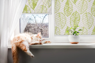 Fensterrollo innen in der Farbe Limettenblätter