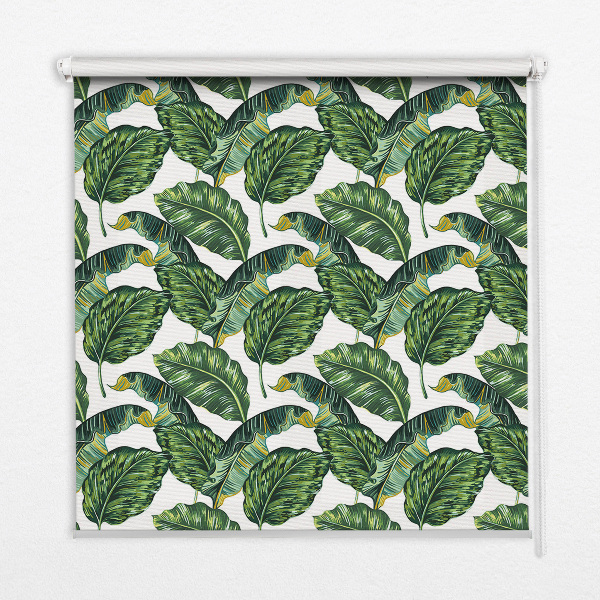 Fensterrollo mit exotischen Blättern