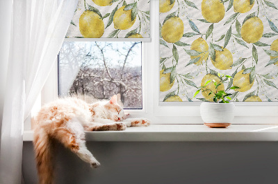 Fensterrollo innen