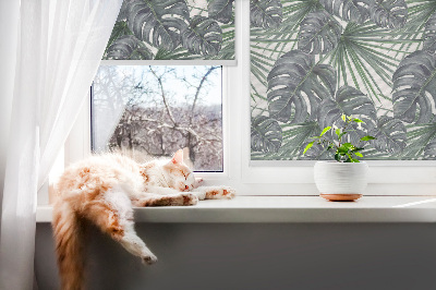 Rollo Fenster blätter