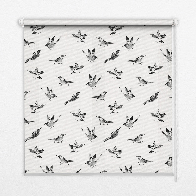 Fensterrollo mit Vogelmotiv