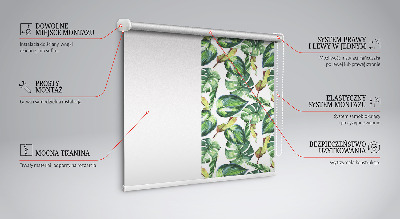Rollo Fenster in tropischen Pflanzen