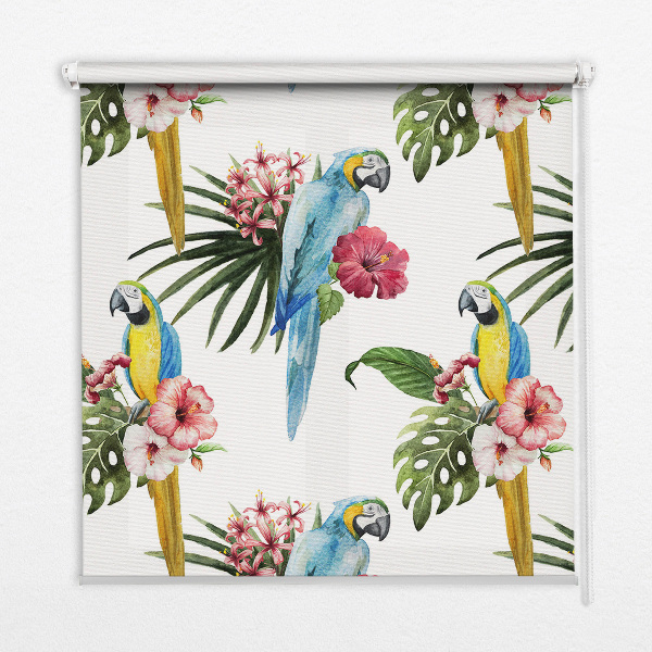 Fensterrollo innen mit Papagei auf Blumenmotiv