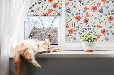 Fensterrollo innen mohn