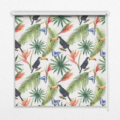 Rollo Fenster mit Motiv von Tukanen auf Blumen