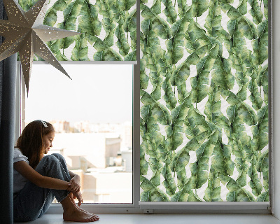 Fensterrollo innen blätter
