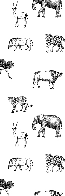 Rollo Fenster Tiere