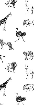 Rollo Fenster Tiere