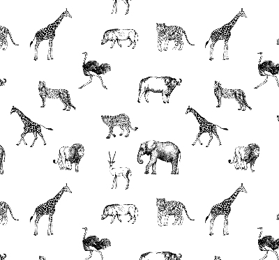 Rollo Fenster Tiere