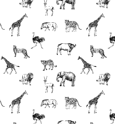Rollo Fenster Tiere