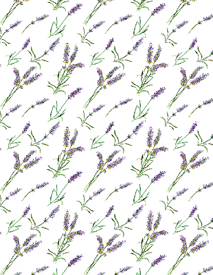 Fensterrollo innen in Lavendel