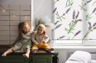 Fensterrollo innen in Lavendel