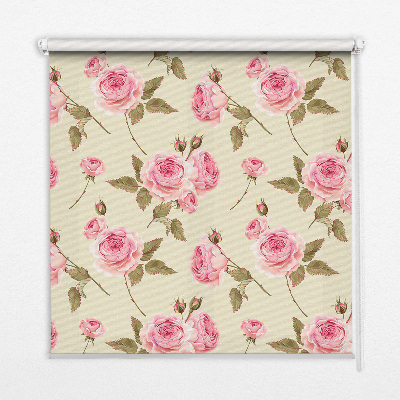 Rollo Fenster rosa
