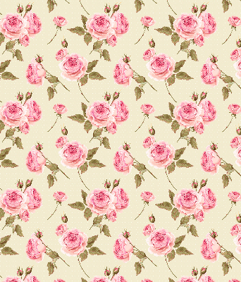 Rollo Fenster rosa