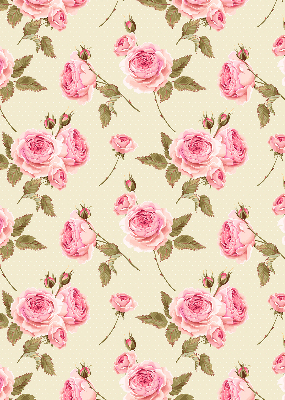 Rollo Fenster rosa