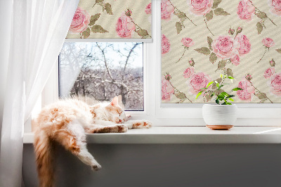 Rollo Fenster rosa