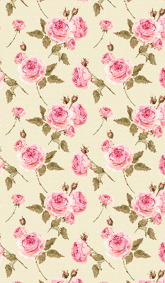 Rollo Fenster rosa