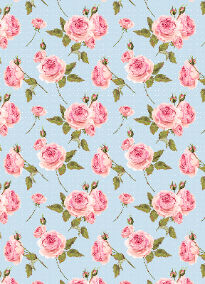Rollo Fenster rosen