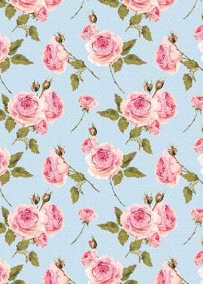 Rollo Fenster rosen