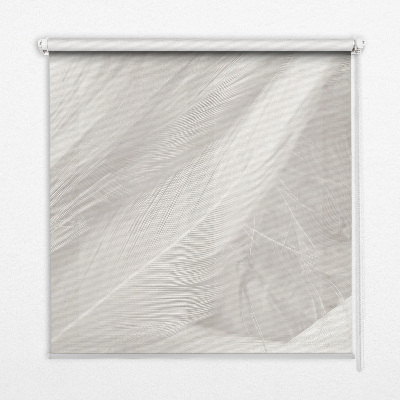Fensterrollo mit Federn