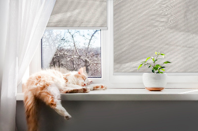 Fensterrollo mit Federn
