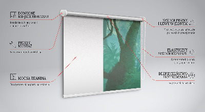 Fensterrollo innen