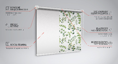 Rollo Fenster in grüner Ausführung