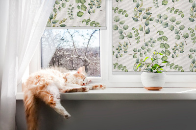 Rollo Fenster in grüner Ausführung