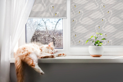 Rollo Fenster schwäne