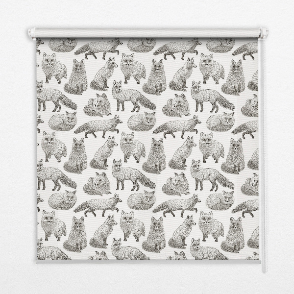 Fensterrollo mit Graufuchs-Motiv